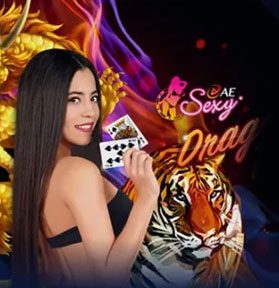 sexy dragon tiger online